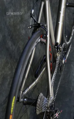 R campagnolosr11 bora
