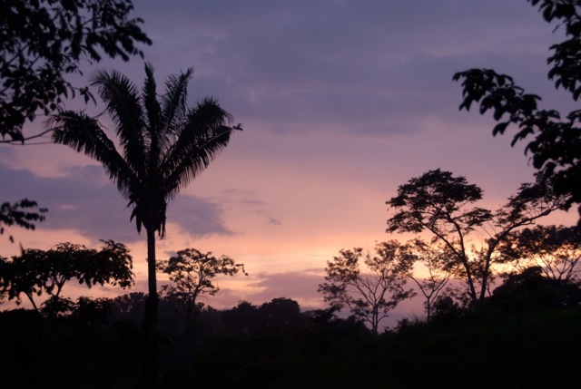 cadre_titane-MOREL-CostaRica-15